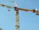 grue